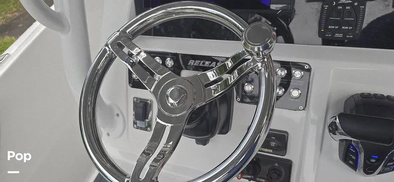 Slide: The Image of Release 295 Sport 2021 - 15672420