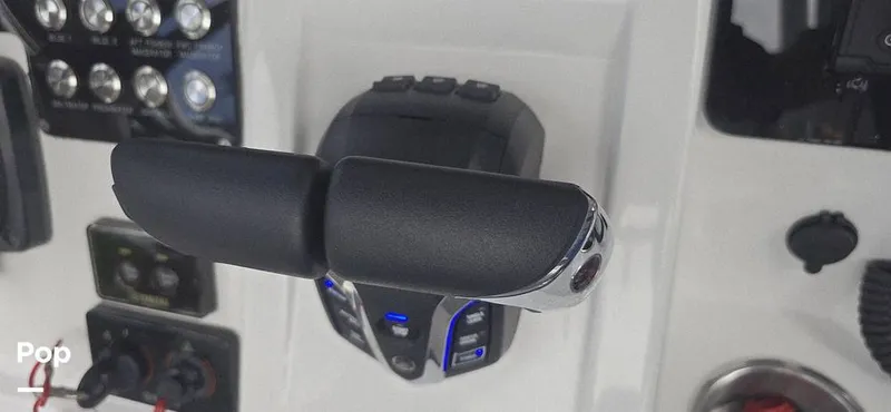 Slide: The Image of Release 295 Sport 2021 - 15672425