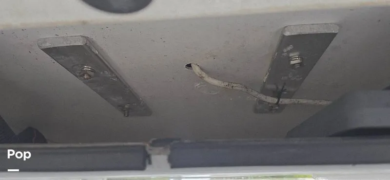 Slide: The Image of Release 295 Sport 2021 - 15672434