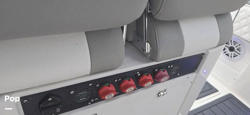 Slide: The Image of Release 295 Sport 2021 - 15672444