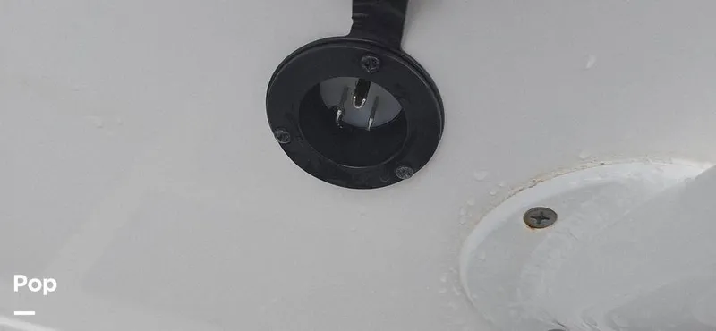 Slide: The Image of Release 295 Sport 2021 - 15672526