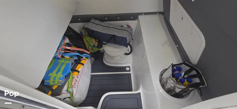 Slide: The Image of Release 295 Sport 2021 - 15672455