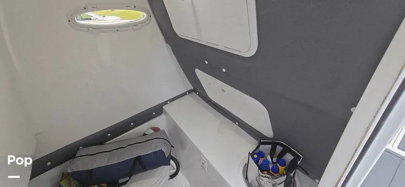 Slide: The Image of Release 295 Sport 2021 - 15672456