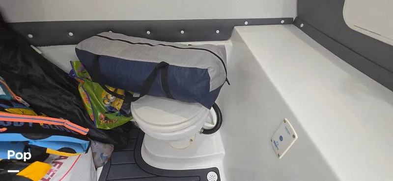 Slide: The Image of Release 295 Sport 2021 - 15672457