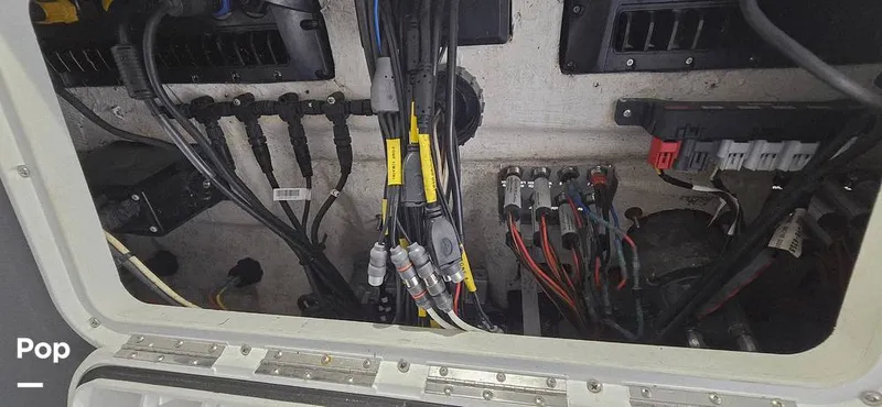 Slide: The Image of Release 295 Sport 2021 - 15672463