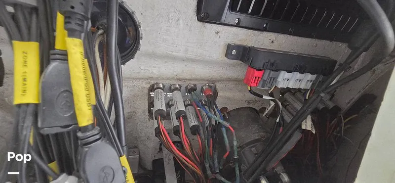 Slide: The Image of Release 295 Sport 2021 - 15672465