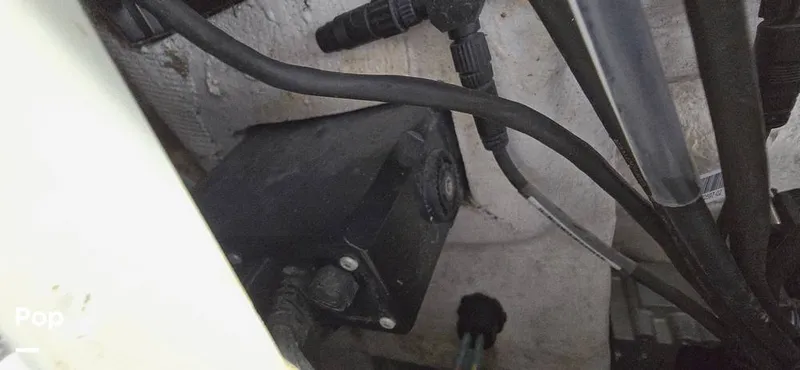 Slide: The Image of Release 295 Sport 2021 - 15672468