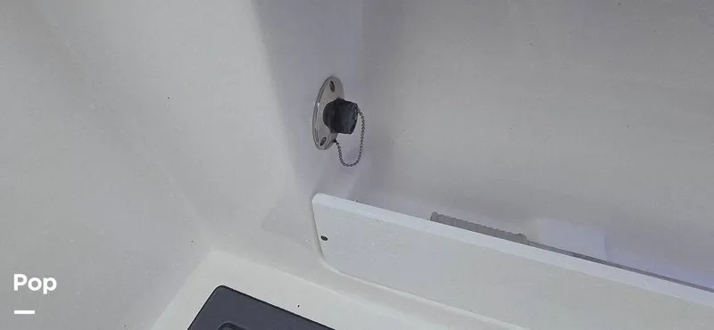 Slide: The Image of Release 295 Sport 2021 - 15672475