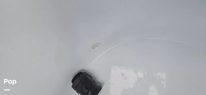 Slide: The Image of Release 295 Sport 2021 - 15672492