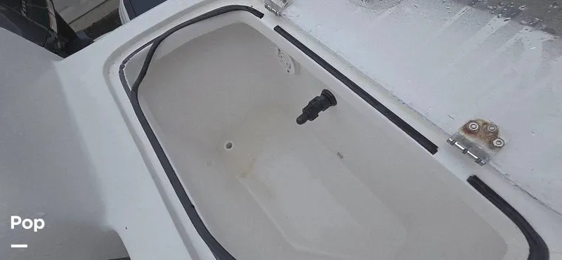 Slide: The Image of Release 295 Sport 2021 - 15672496