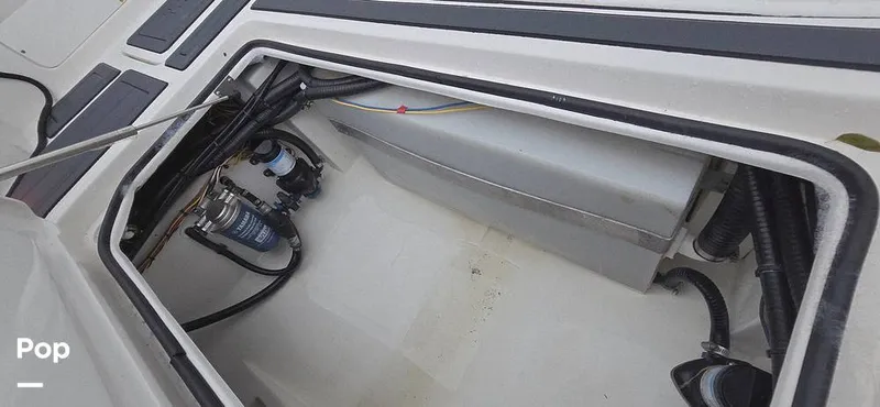 Slide: The Image of Release 295 Sport 2021 - 15672503