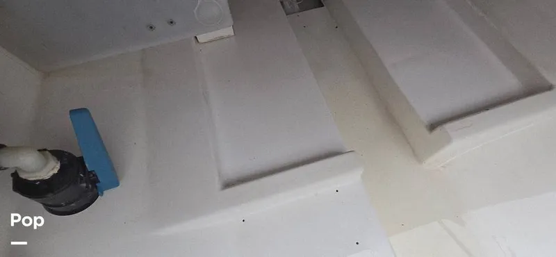 Slide: The Image of Release 295 Sport 2021 - 15672505