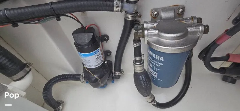 Slide: The Image of Release 295 Sport 2021 - 15672506