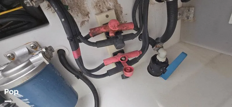 Slide: The Image of Release 295 Sport 2021 - 15672507