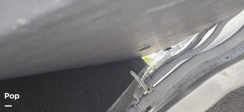 Slide: The Image of Release 295 Sport 2021 - 15672527