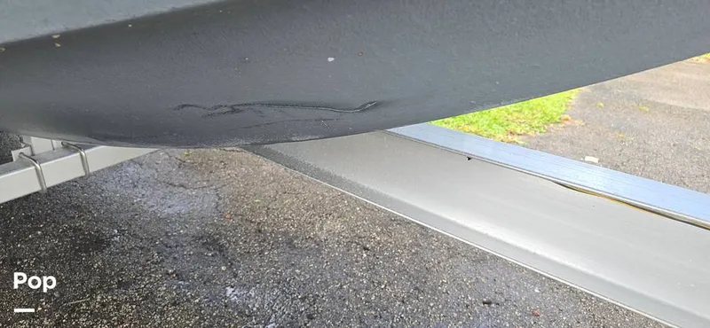 Slide: The Image of Release 295 Sport 2021 - 15672544