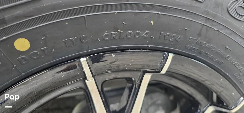 Slide: The Image of Release 295 Sport 2021 - 15672562