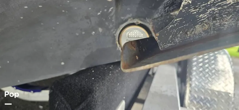 Slide: The Image of Release 295 Sport 2021 - 15672361