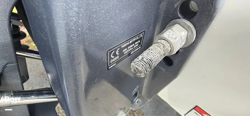 Slide: The Image of Release 295 Sport 2021 - 15672350