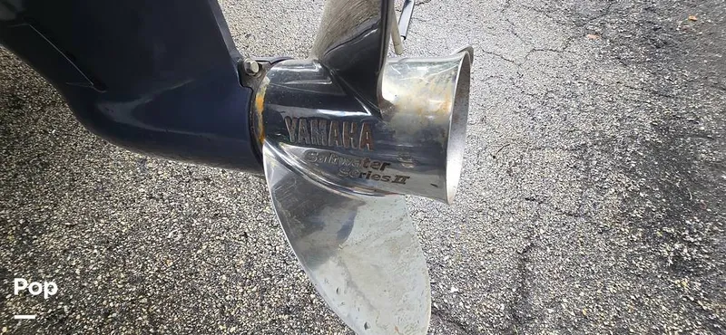 Slide: The Image of Release 295 Sport 2021 - 15672339