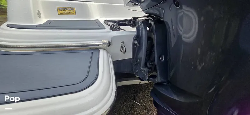 Slide: The Image of Release 295 Sport 2021 - 15672344