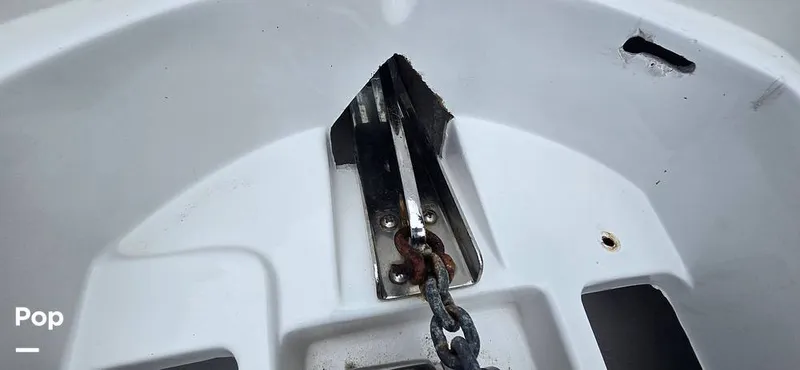 Slide: The Image of Release 295 Sport 2021 - 15672374