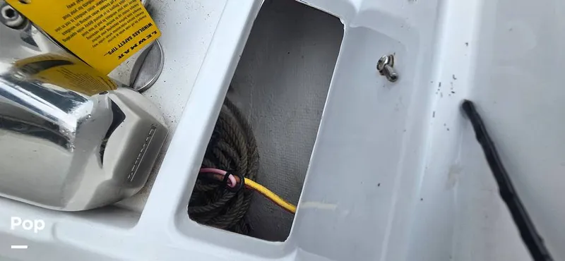 Slide: The Image of Release 295 Sport 2021 - 15672375