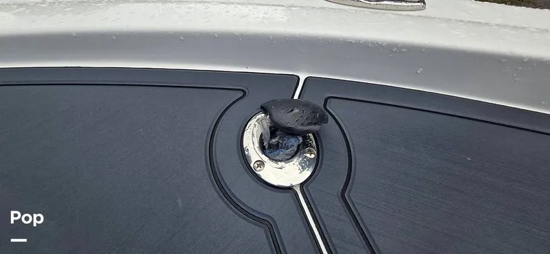 Slide: The Image of Release 295 Sport 2021 - 15672379