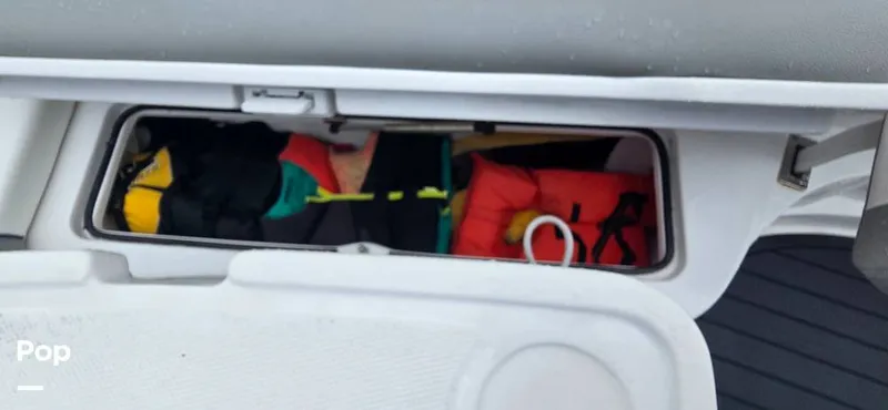 Slide: The Image of Release 295 Sport 2021 - 15672388