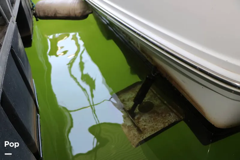 Slide: The Image of Sea Ray 360 Sedan Bridge 2007 - 15627618