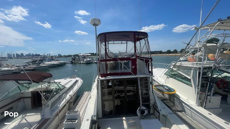 Slide: The Image of Viking 35 Convertible 1979 - 15916952