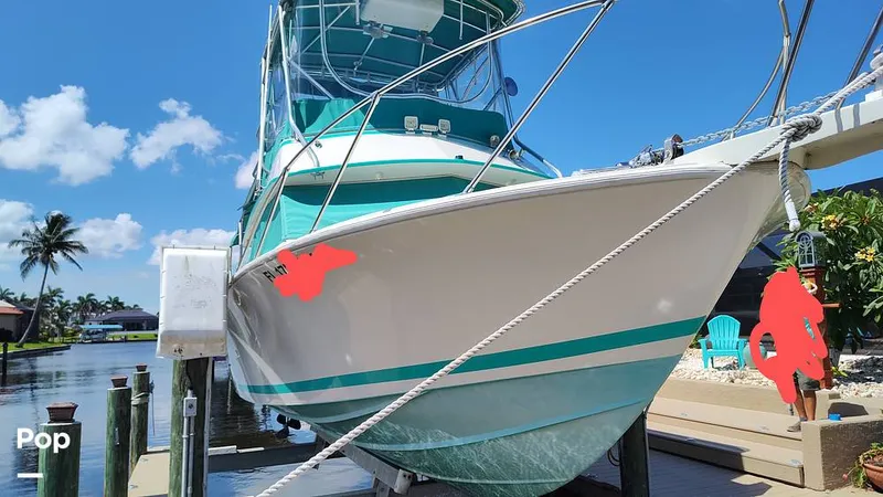 Slide: The Image of Bertram 28 Flybridge 1972 - 15601491