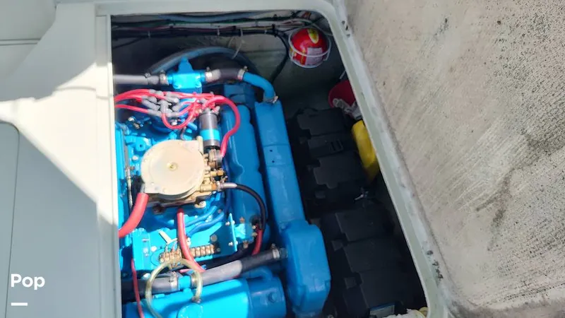 Slide: The Image of Bertram 28 Flybridge 1972 - 15601444