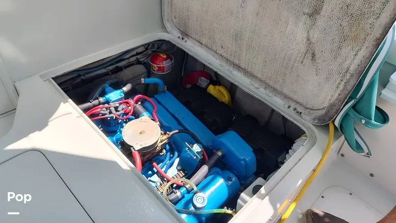 Slide: The Image of Bertram 28 Flybridge 1972 - 15601446