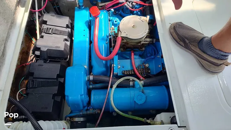 Slide: The Image of Bertram 28 Flybridge 1972 - 15601447