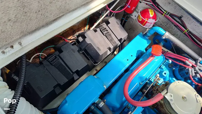 Slide: The Image of Bertram 28 Flybridge 1972 - 15601449