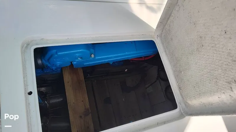 Slide: The Image of Bertram 28 Flybridge 1972 - 15601451