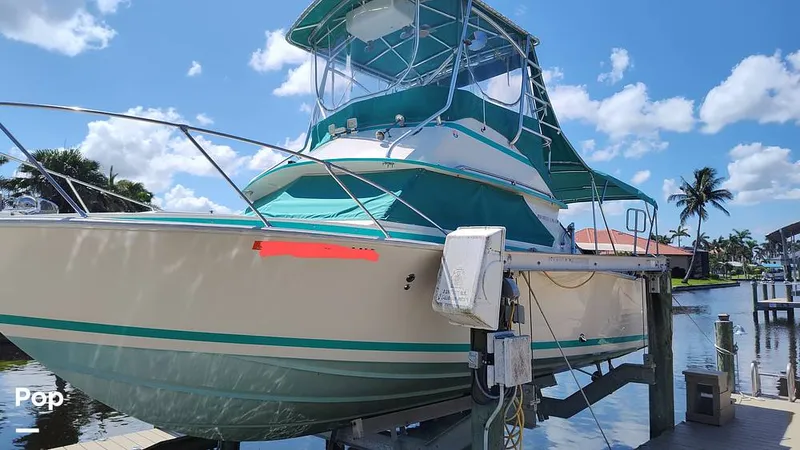 Slide: The Image of Bertram 28 Flybridge 1972 - 15601492