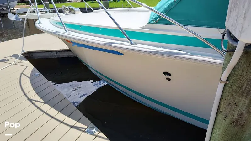 Slide: The Image of Bertram 28 Flybridge 1972 - 15601488