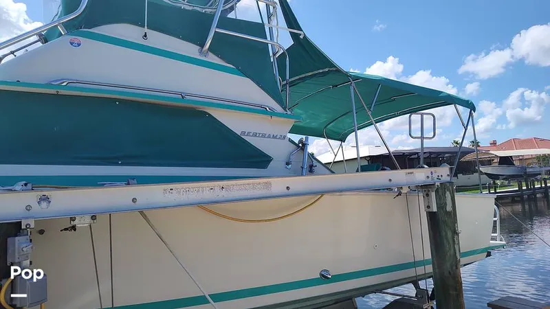 Slide: The Image of Bertram 28 Flybridge 1972 - 15601422