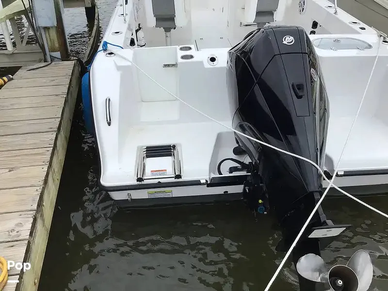 Slide: The Image of Aquasport 220 DC 2024 - 15576424