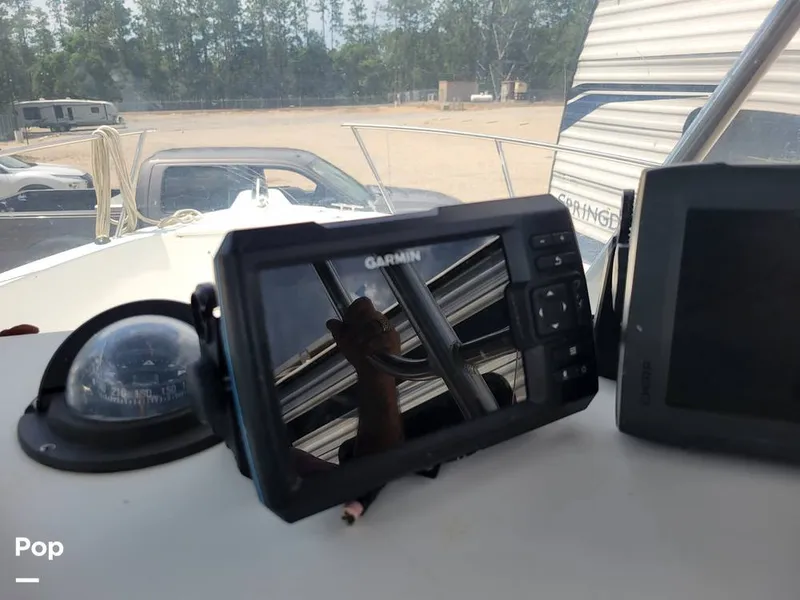 Slide: The Image of Hydra-Sports 230 Seahorse 2001 - 15611385