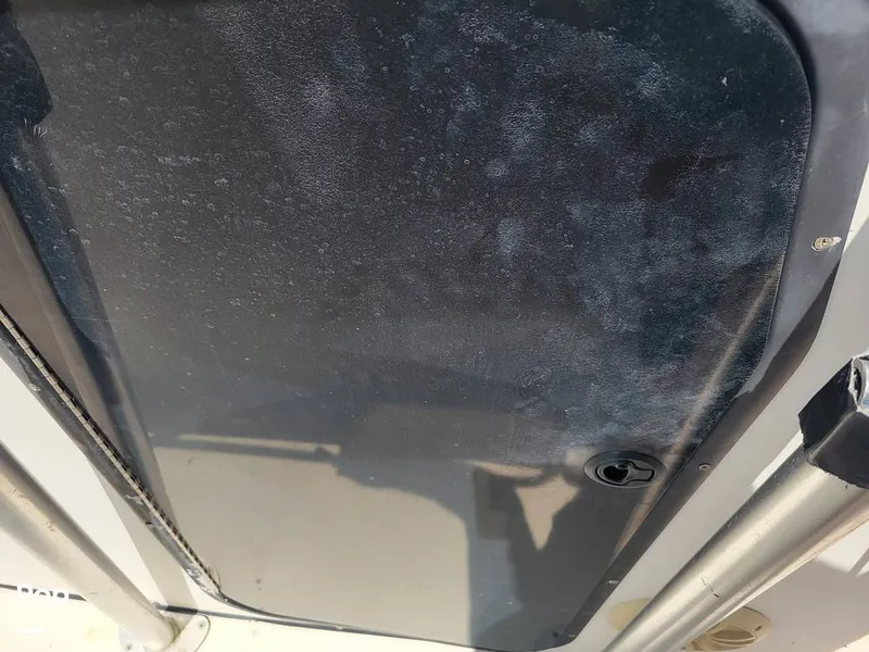 Slide: The Image of Hydra-Sports 230 Seahorse 2001 - 15611380