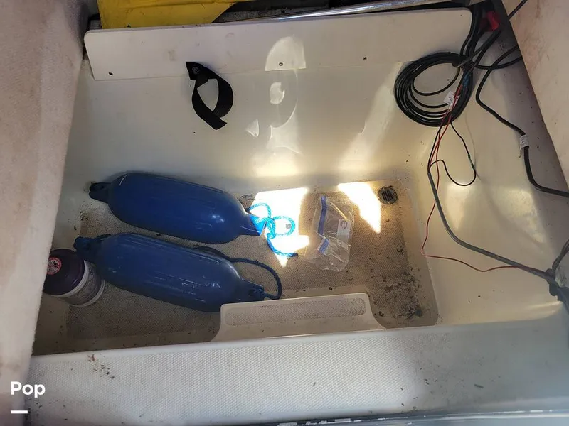 Slide: The Image of Hydra-Sports 230 Seahorse 2001 - 15611372