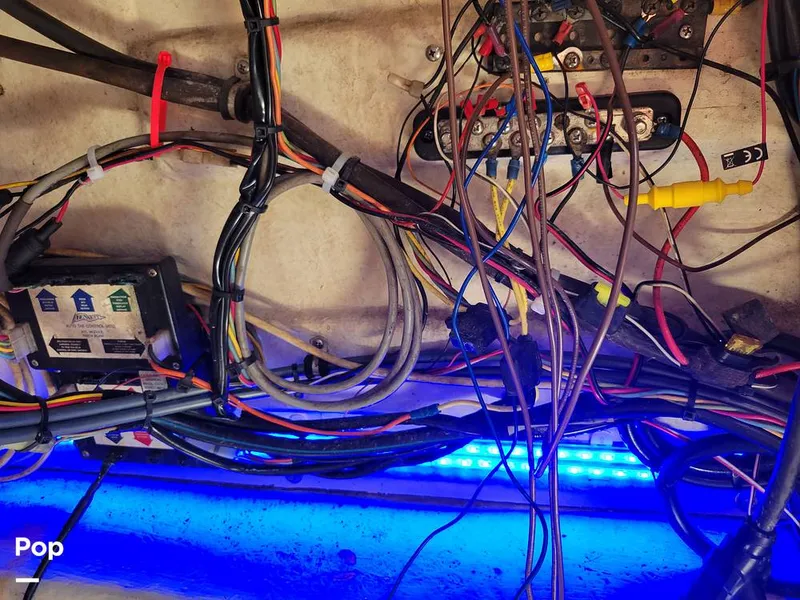 Slide: The Image of Hydra-Sports 230 Seahorse 2001 - 15611376