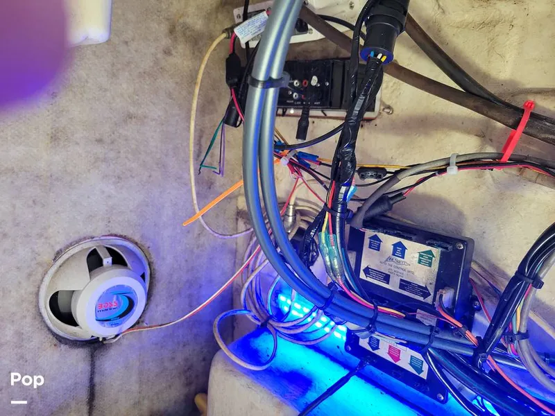 Slide: The Image of Hydra-Sports 230 Seahorse 2001 - 15611375