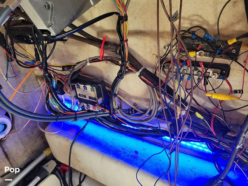 Slide: The Image of Hydra-Sports 230 Seahorse 2001 - 15611373