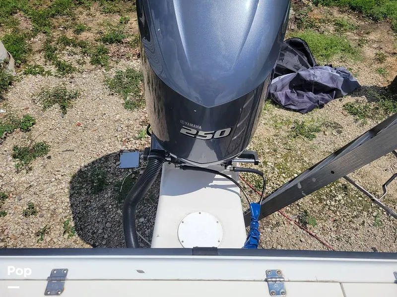 Slide: The Image of Hydra-Sports 230 Seahorse 2001 - 15611534