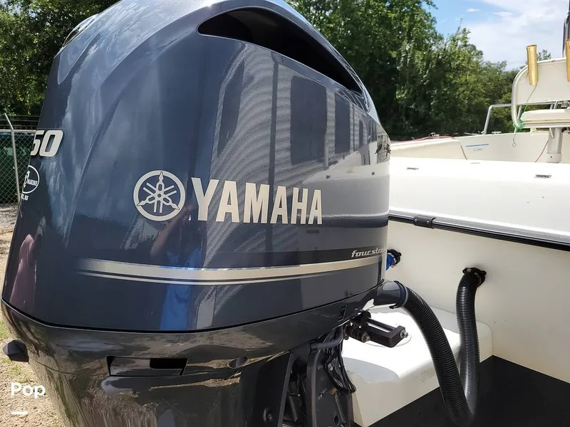 Slide: The Image of Hydra-Sports 230 Seahorse 2001 - 15611392