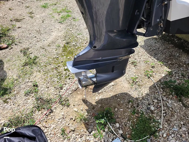 Slide: The Image of Hydra-Sports 230 Seahorse 2001 - 15611393